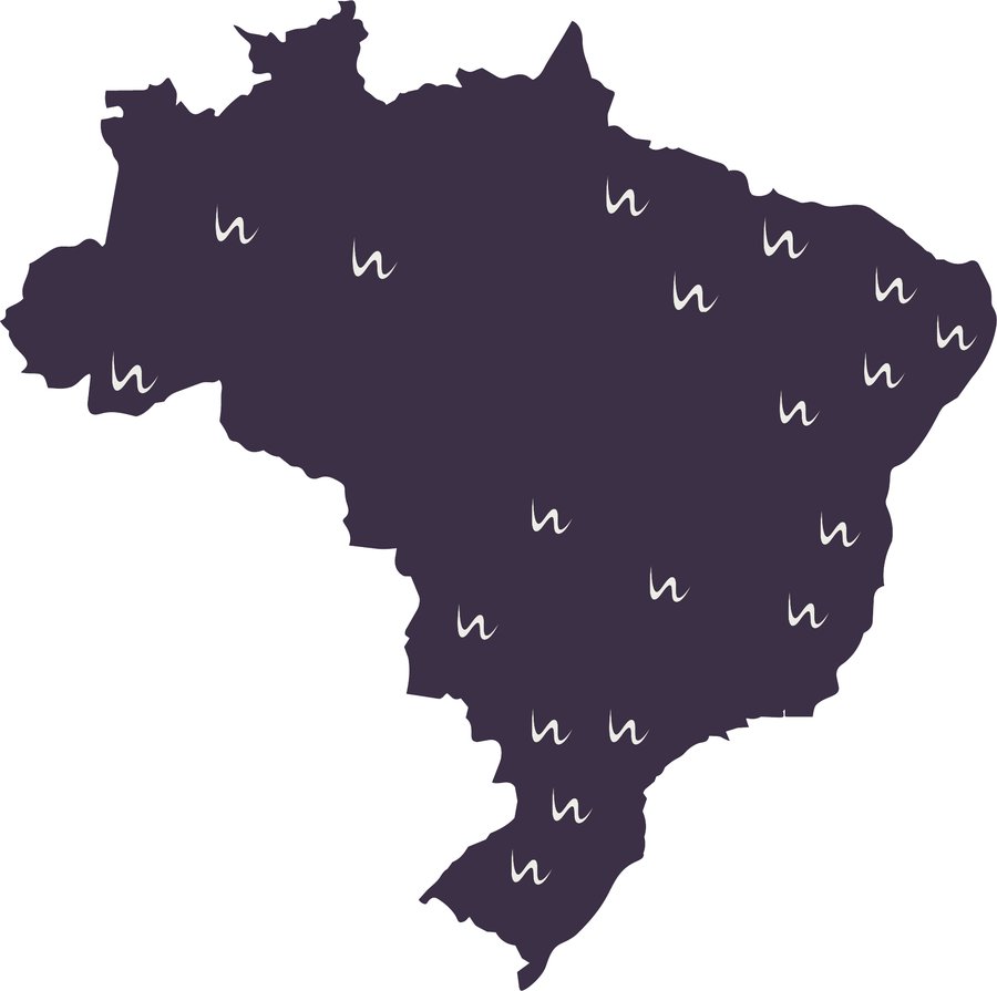Mapa do Brasil com a presença da Westhetics em mais de 21 estados